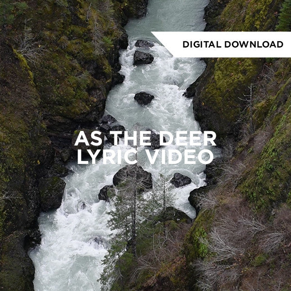 As The Deer Lyric Video