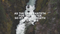 As The Deer Lyric Video